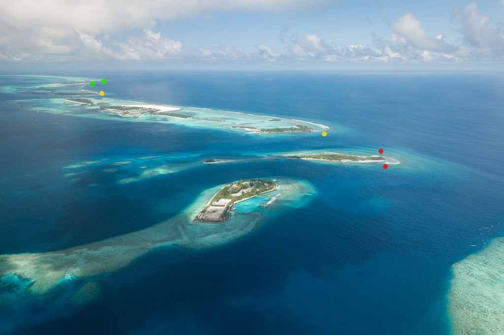 Maldives2019- (28)_LI.jpg