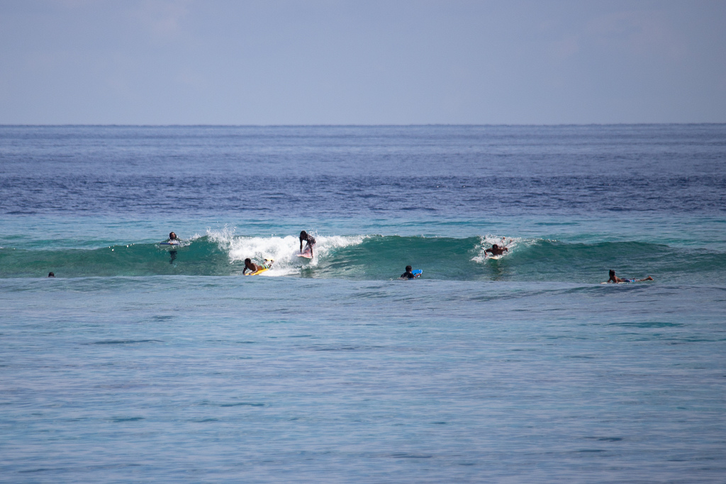 Maldives2018-1024-028.jpg Maldives2018-1024-028.jpg