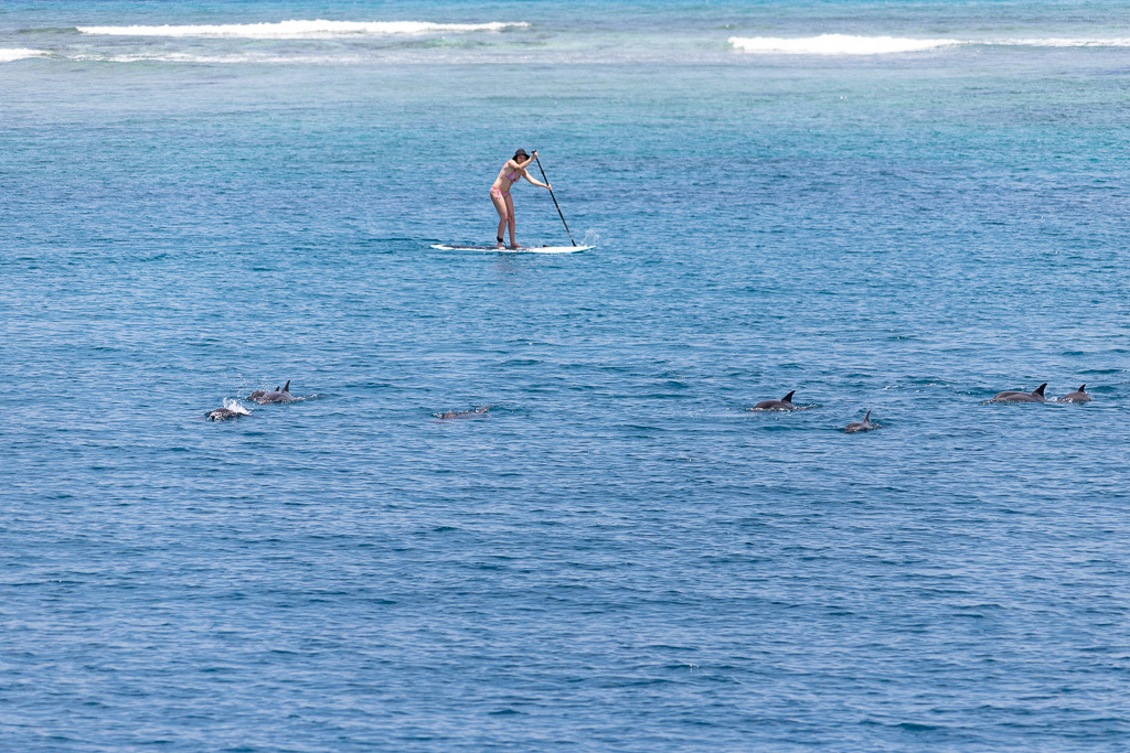 Maldives2018-1024-024.jpg Maldives2018-1024-024.jpg