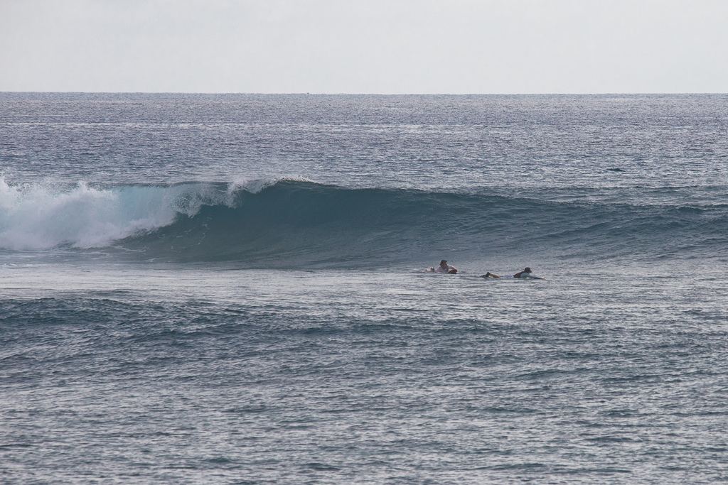 Maldives2018-1024-065.jpg Maldives2018-1024-065.jpg
