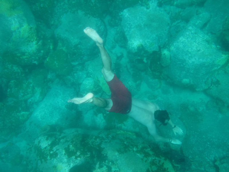 Sans palmes c'est bien aussi / DSCF6050.JPG DSCF6050.JPG