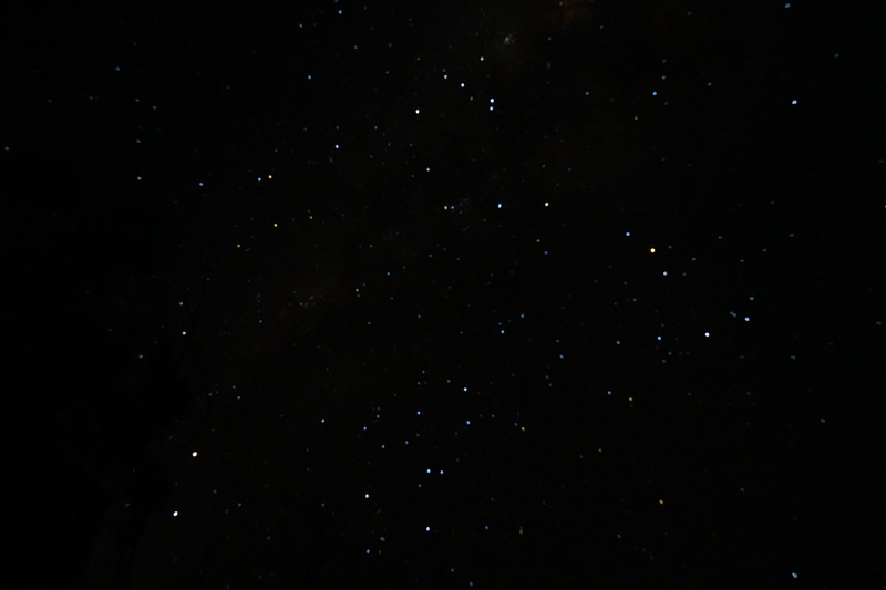 DSC03614.jpg DSC03614.jpg