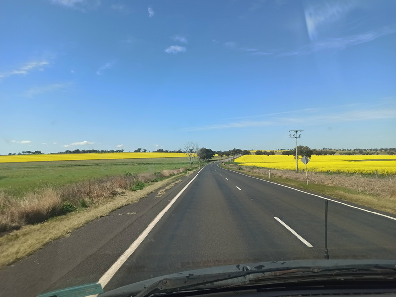 IMG_20200908_123805.jpg IMG_20200908_123805.jpg