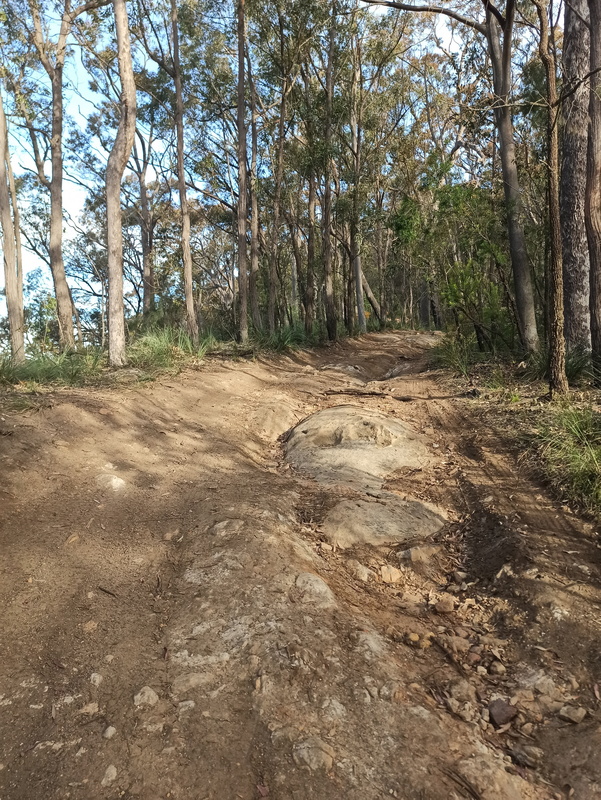 IMG_20200908_160421.jpg IMG_20200908_160421.jpg