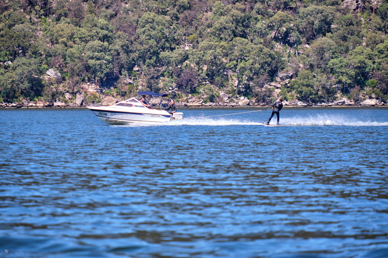 DSCF5526.jpg DSCF5526.jpg