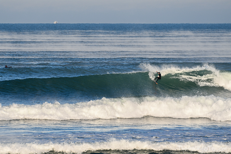 P_25122020-37.jpg P_25122020-37.jpg