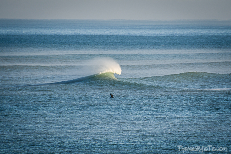 P_25122020-43.jpg P_25122020-43.jpg