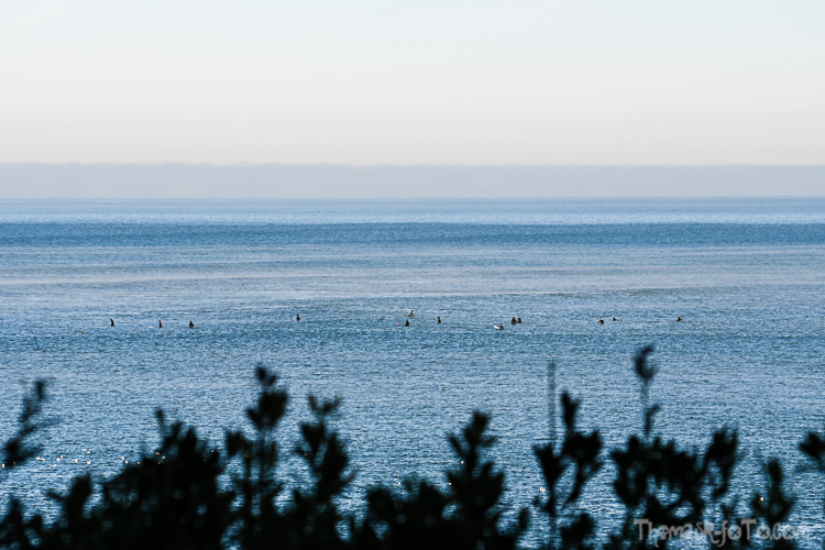 P_25122020-44.jpg P_25122020-44.jpg