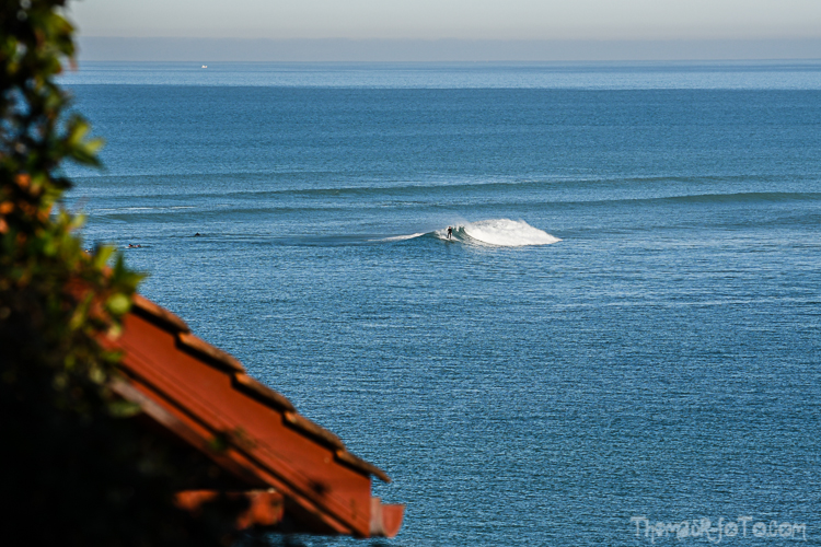 P_25122020-46.jpg P_25122020-46.jpg