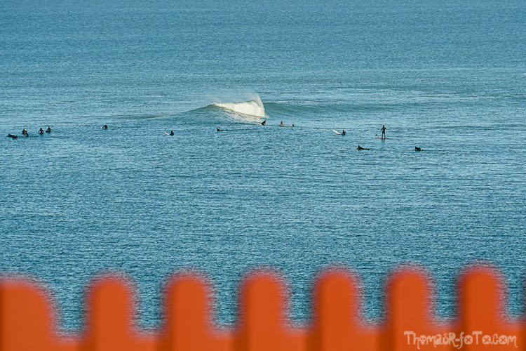 P_25122020-47.jpg P_25122020-47.jpg