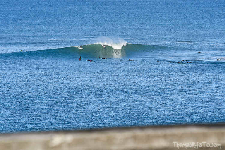 P_25122020-50.jpg P_25122020-50.jpg