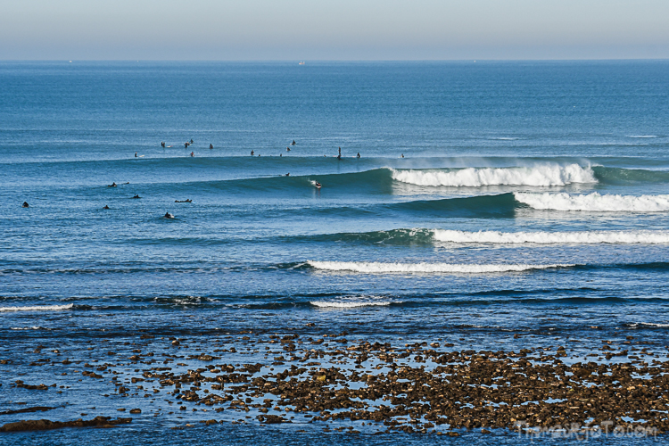 P_25122020-52.jpg P_25122020-52.jpg