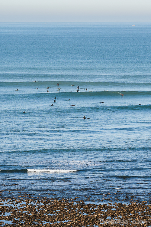 P_25122020-53.jpg P_25122020-53.jpg