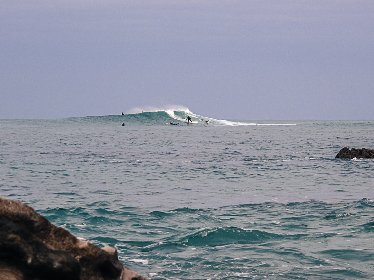 P_Li_25122020-2.jpg P_Li_25122020-2.jpg