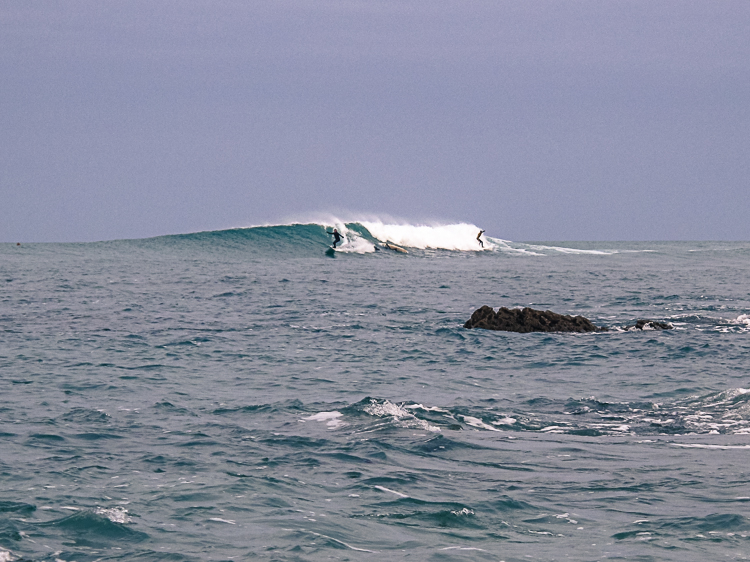 P_Li_25122020-3.jpg P_Li_25122020-3.jpg