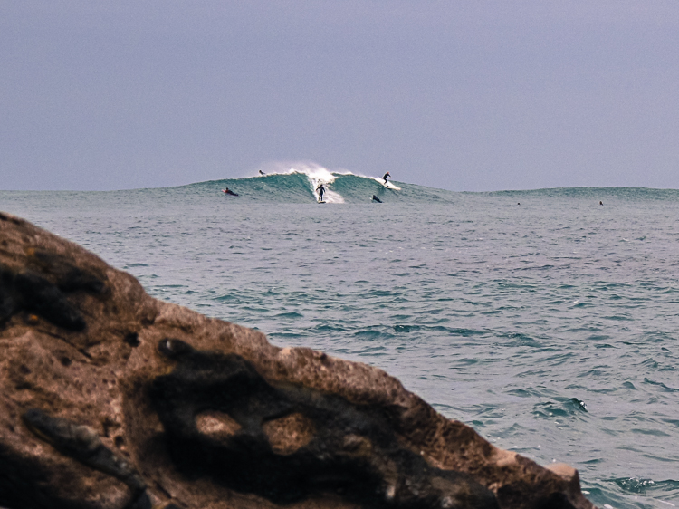 P_Li_25122020-6.jpg P_Li_25122020-6.jpg