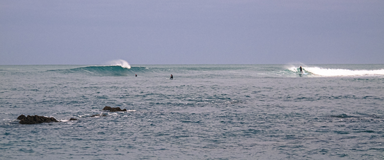 P_Li_25122020-7.jpg P_Li_25122020-7.jpg