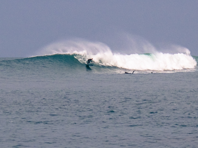 P_Li_25122020-8.jpg P_Li_25122020-8.jpg