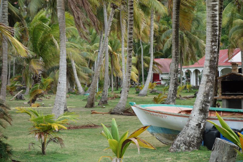 DSC04479.JPG DSC04479.JPG