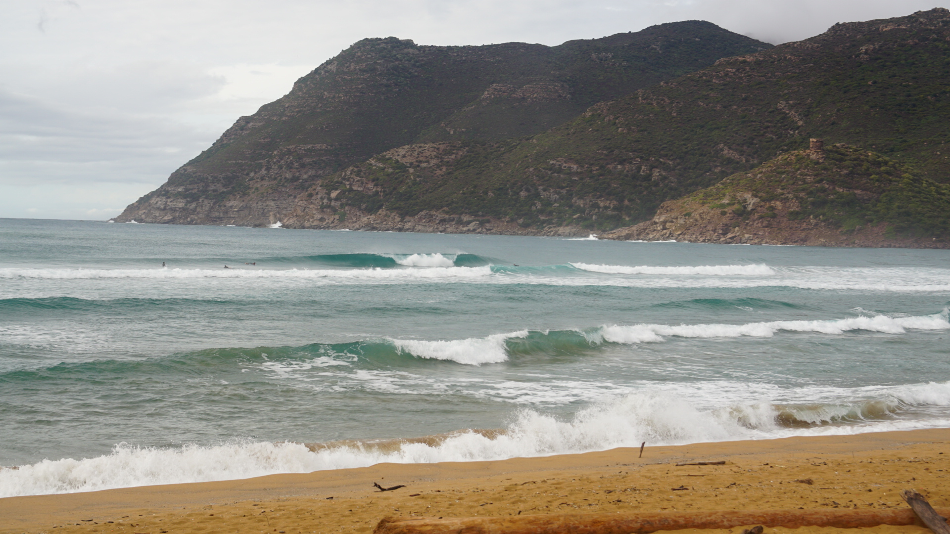 DSC08036.JPG