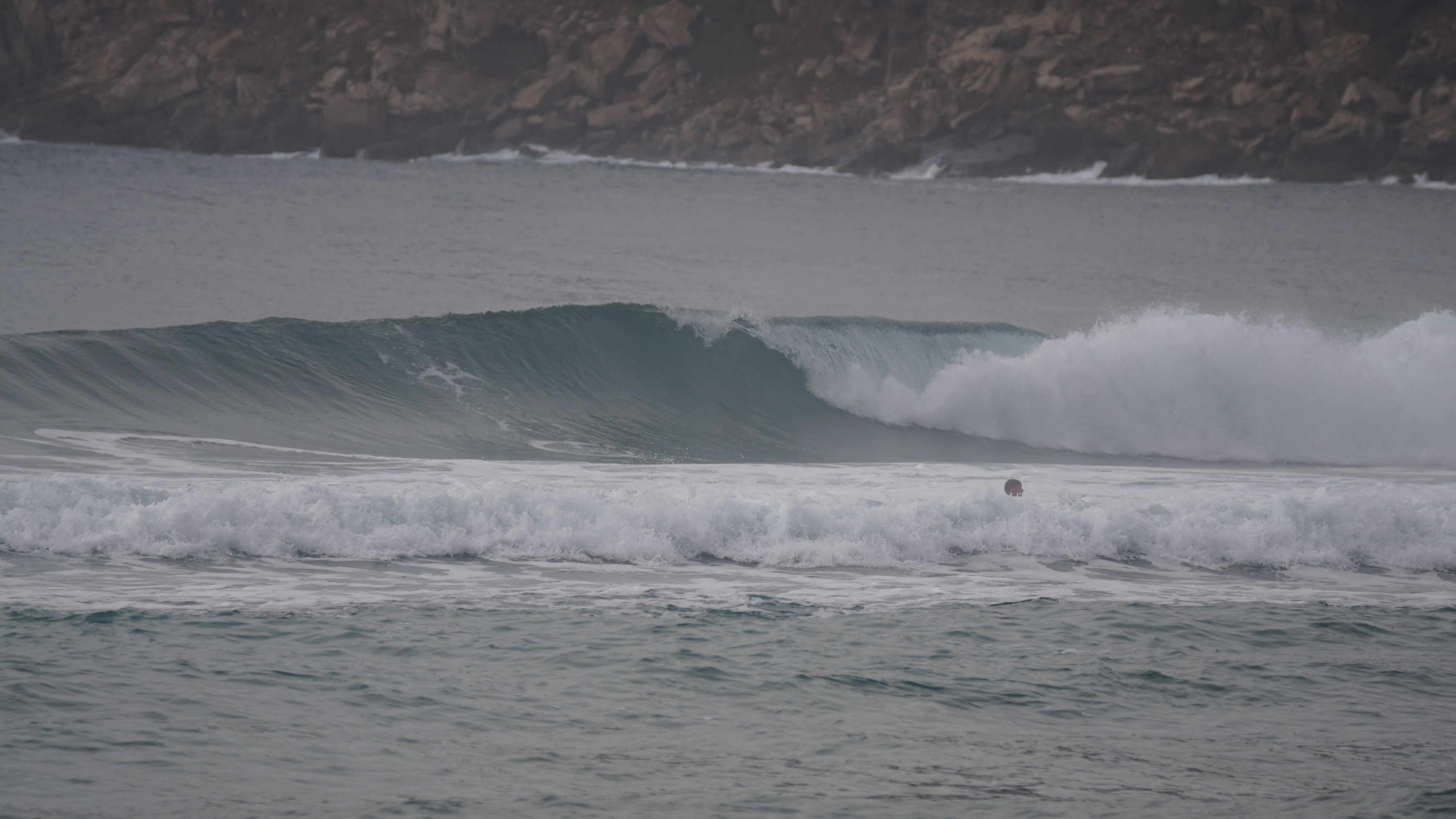 DSC08093.JPG