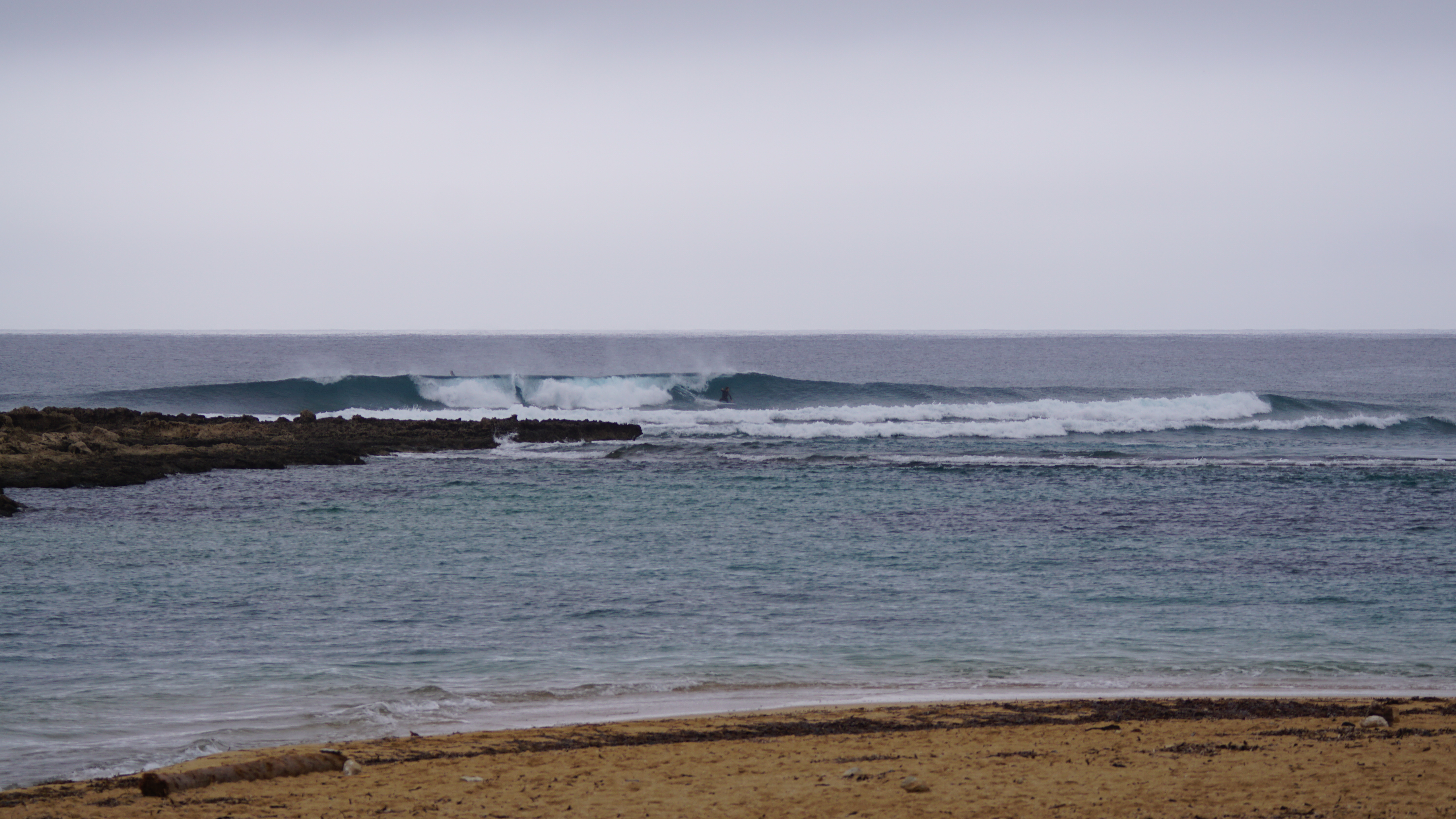 DSC08232.JPG