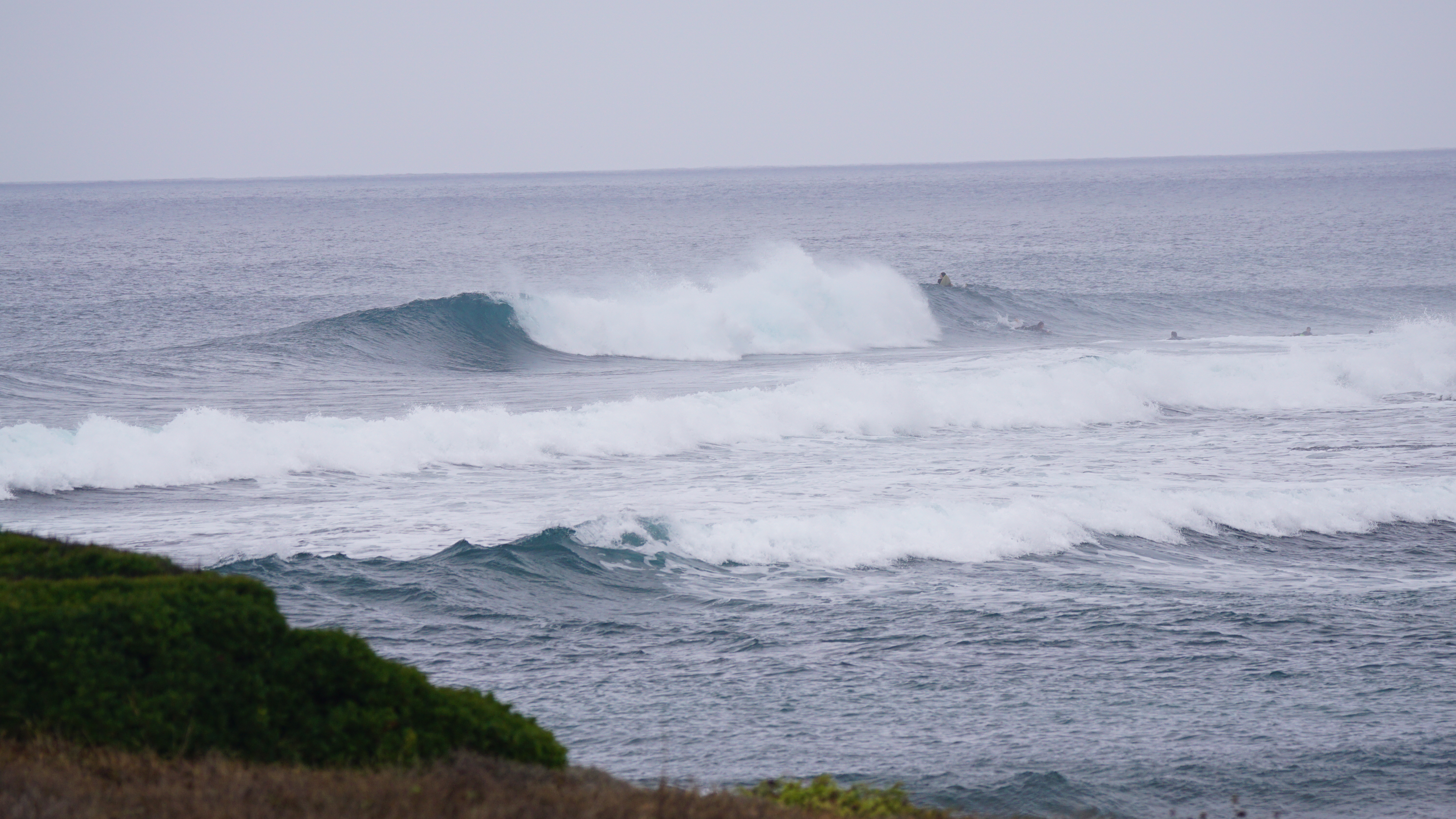DSC08224.JPG