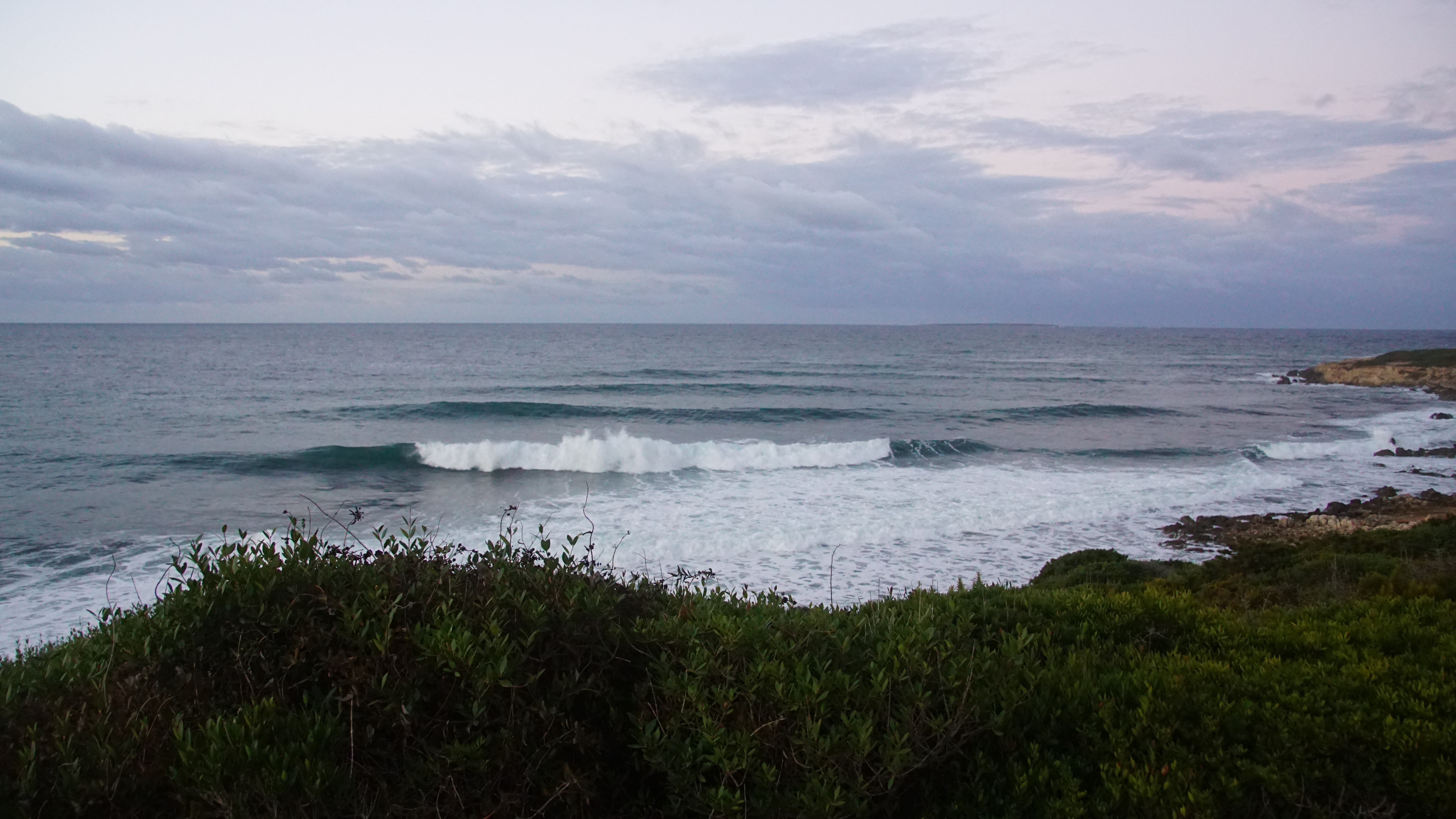 DSC08247.JPG
