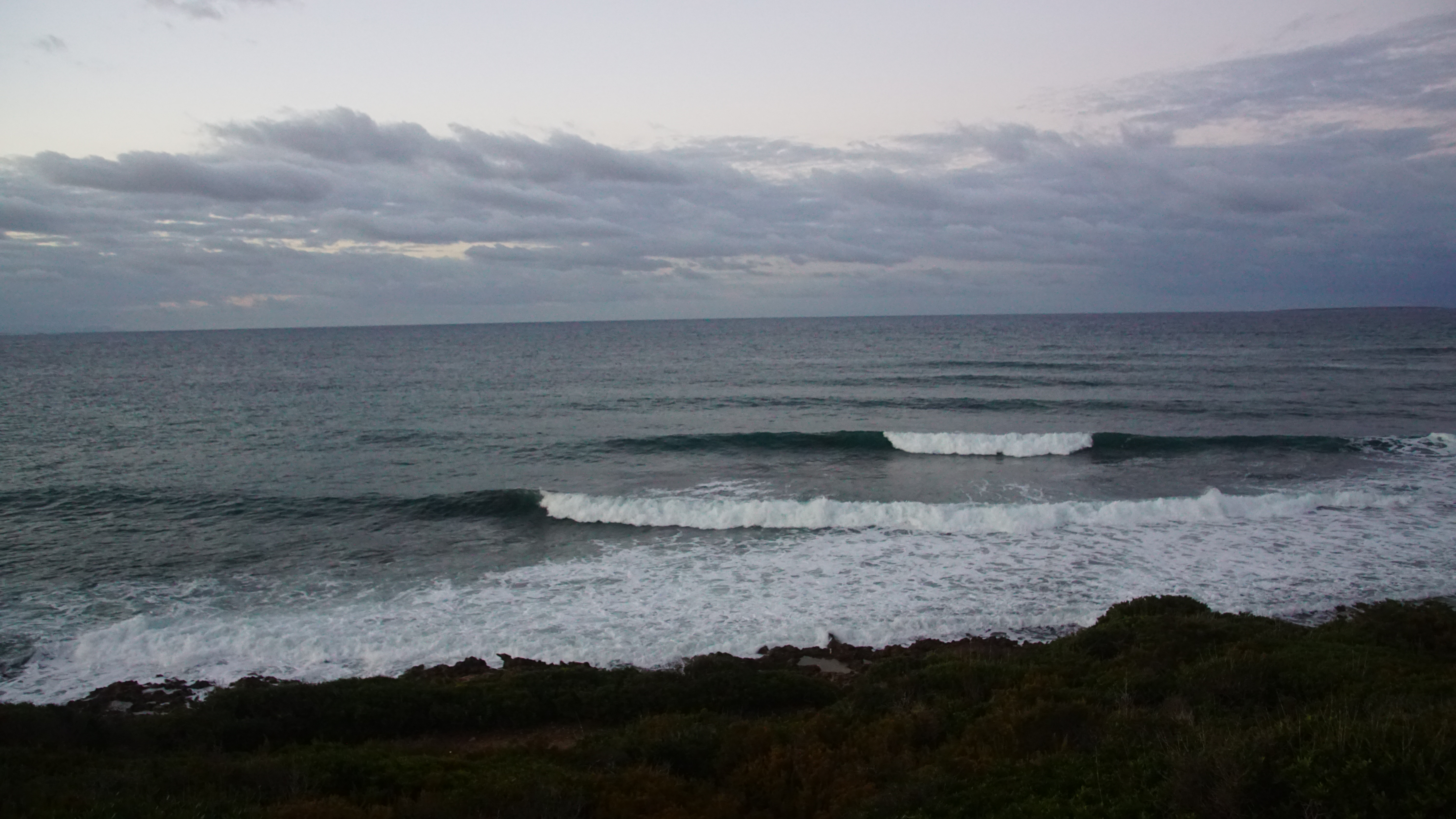 DSC08246.JPG