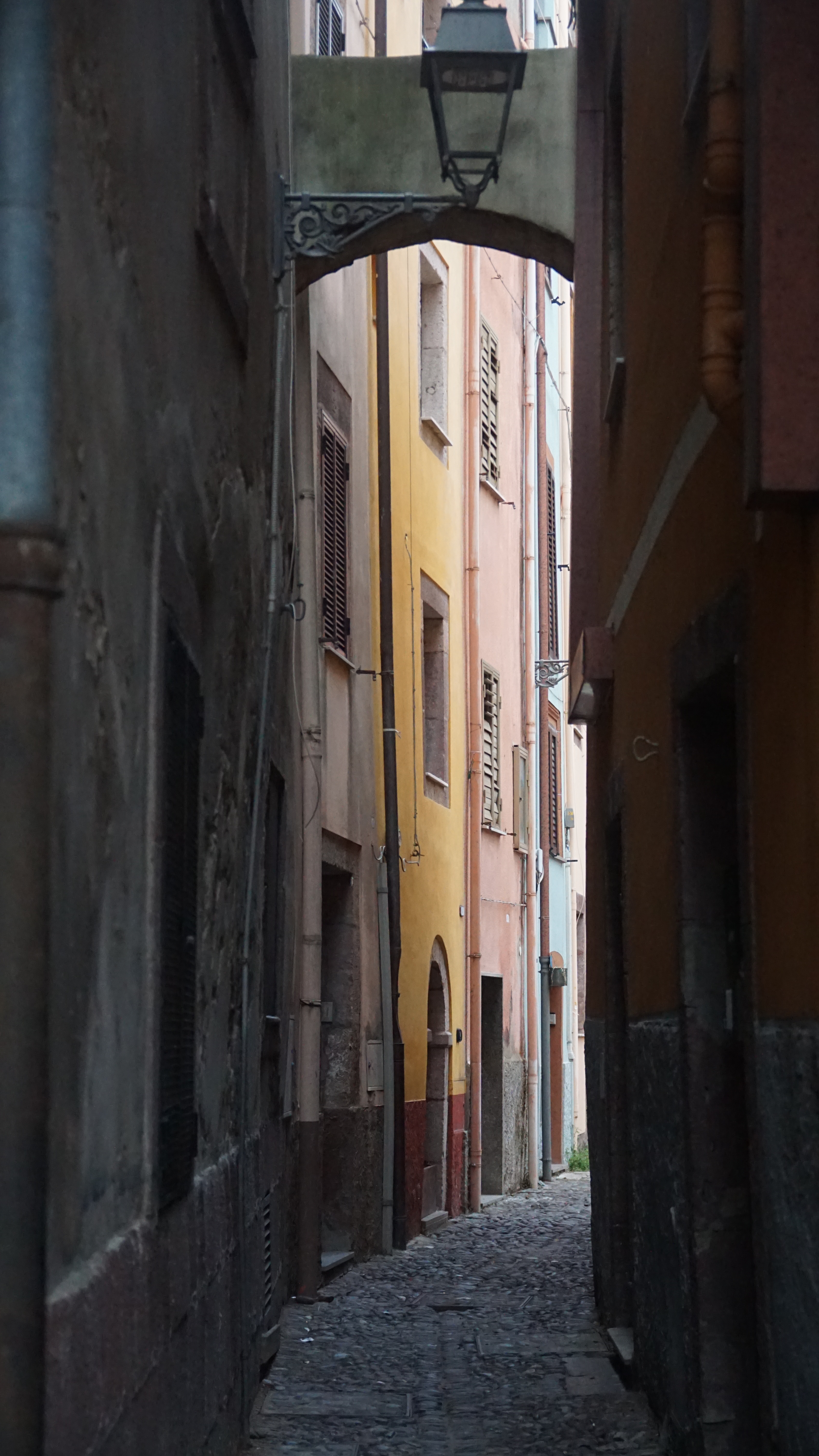 DSC08555.JPG