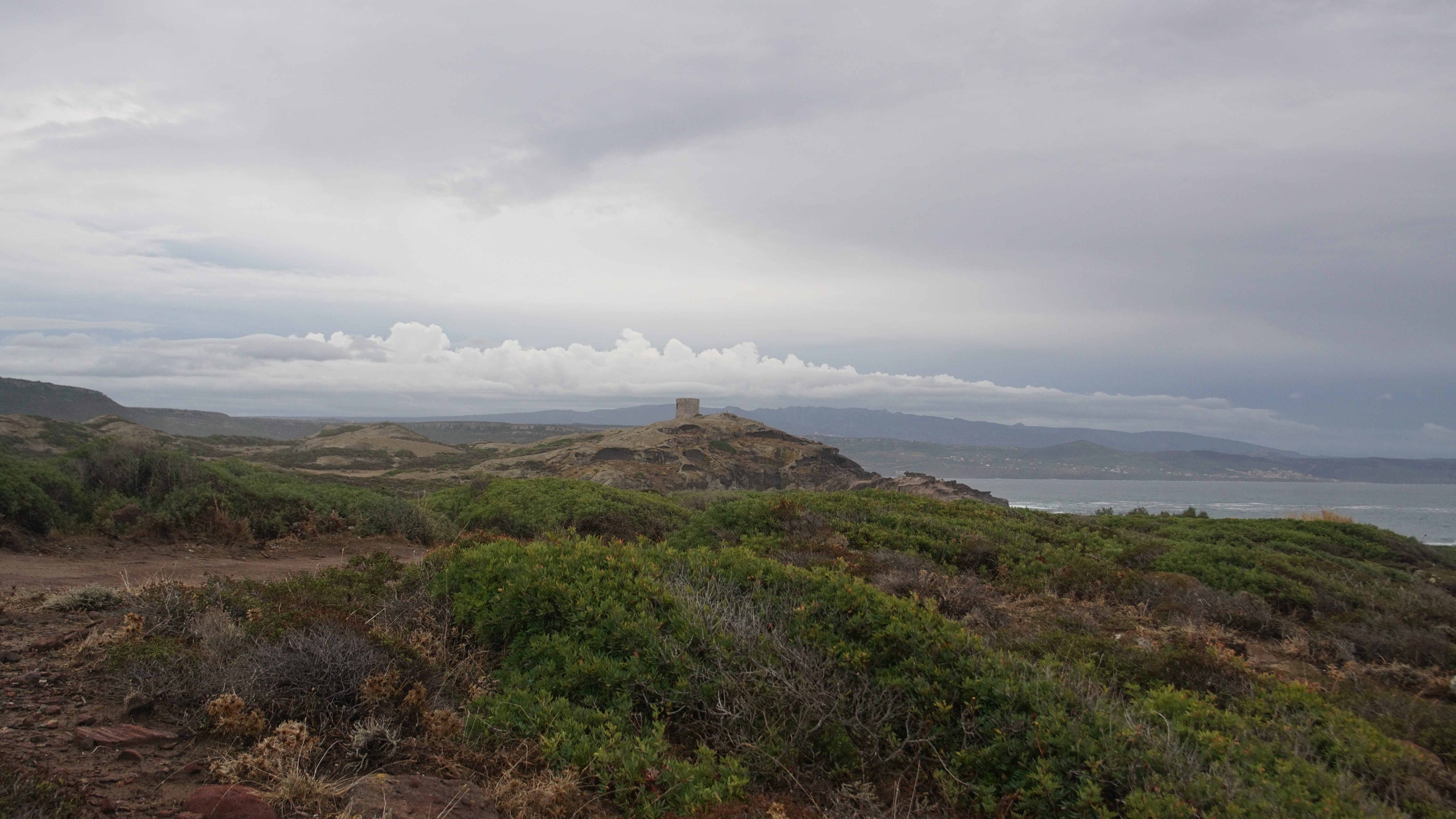DSC08565.JPG